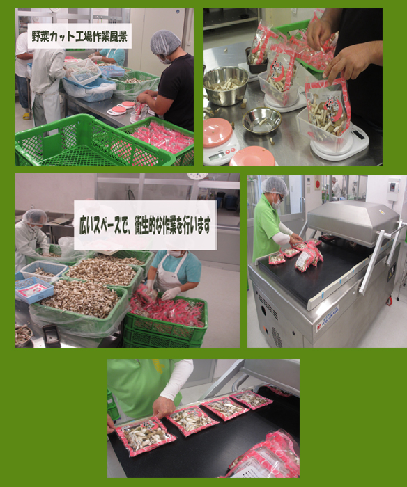 初穂カット工場