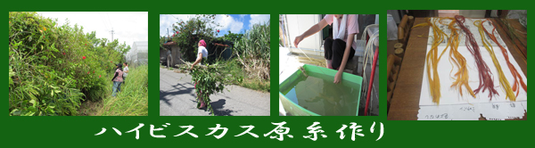 ハイビスカス織り